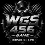 WGS 456 Game Logo