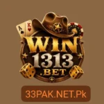 Win 1313 Game Logo