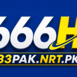 66h Game Logo